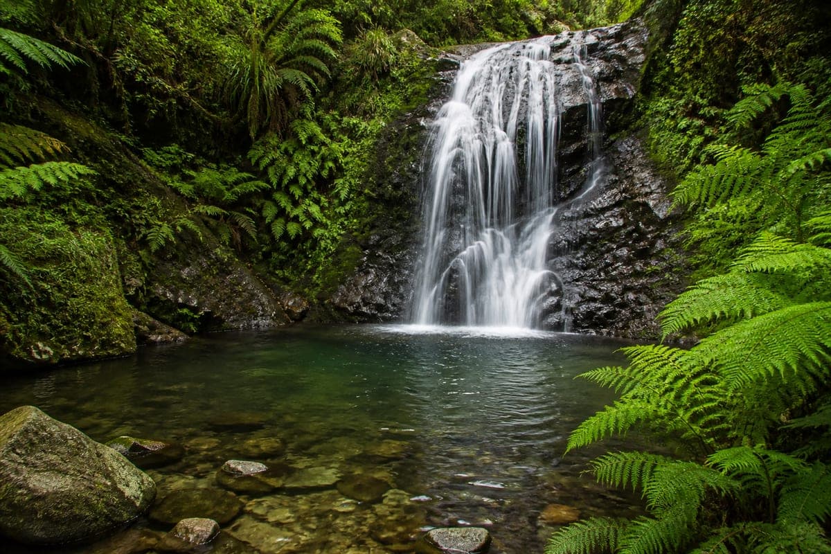A small waterfall in a mossy gorge